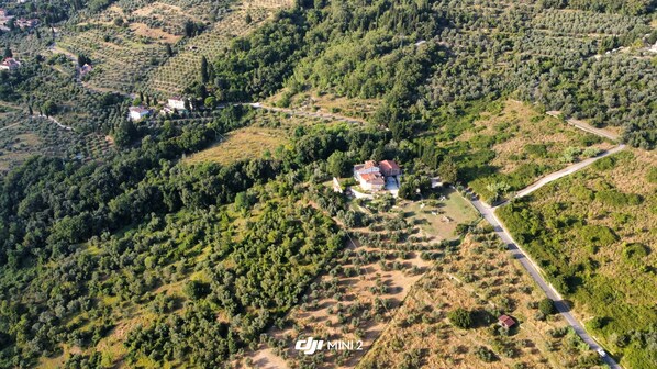 An aerial view of a property with a large house surrounded by dense vegetation and a few smaller buildings. - Studio Apartment in beautiful Tuscany, 7 miles from Florence center   (BAGNO A RIPOLI)