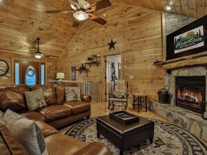 Televisión, chimenea y reproductor de DVD 