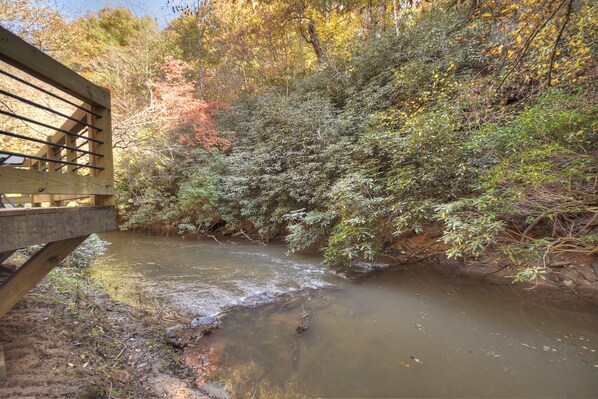Een houten brug over een rustige rivier, omringd door weelderige begroeiing.