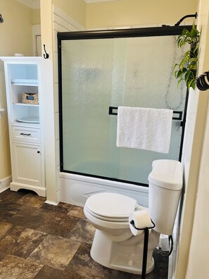 Combined shower/bathtub, hair dryer, towels, soap - Friends an Family enjoy our Palace Home  (Salem)
