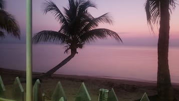 Una spiaggia con palme e una recinzione in primo piano.