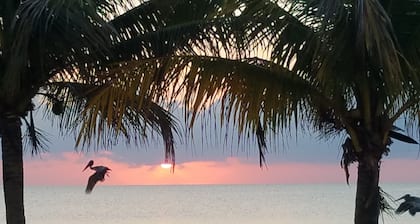 Pal's on the Beach - A Gold Standard Hotel