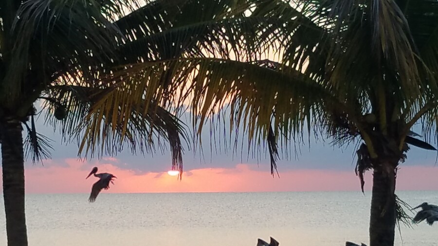 Pal's on the Beach - A Gold Standard Hotel