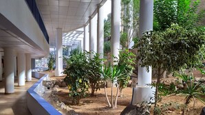 A covered walkway with columns, a blue-lined edge, and small trees. - Amazing ocean view apartment in Taurito, Mogán (Mogan)
