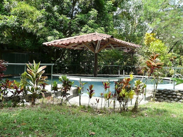 Outdoor pool - Tropical Rainforest House Near Arenal Volcano/La Fortuna. (La Fortuna)