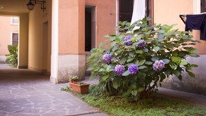 Ein Gebäude mit einem pflasterbelagten Eingangsbereich, einem Blumentopf mit violetten Blüten und einem Fenster mit Rollläden.