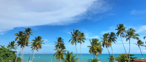 Vista desde la propiedad