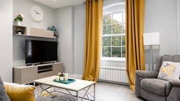 Televisión de pantalla plana, Netflix, servicios de streaming