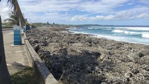 Une zone côtière rocheuse, avec une barrière en béton, des palmiers et une vue sur l’océan.
