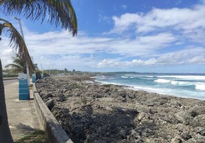 Une zone côtière rocheuse, avec une barrière en béton, des palmiers et une vue sur l’océan.