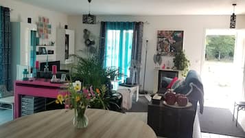 TV connectée, cheminée, lecteur de DVD, livres