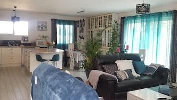 TV connectée, cheminée, lecteur de DVD, livres