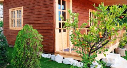 Escape to Nature your dream lodge for events and wedding