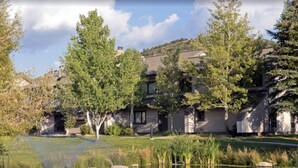 A residential area with a pond, trees, and houses with sloped roofs.