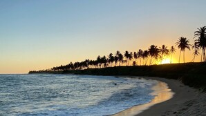 A beach with a calm sea, a sandy shore, and a line of palm trees in the background. - Spectacular Luxury Mansion on the Beach. (Mata de São João)