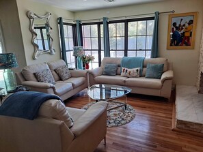 TV connectée, cheminée, livres, chaîne hi-fi