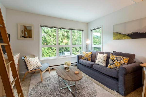 The living area has a sofa bed; the space is cozy and bright.