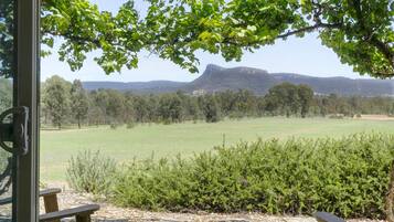 Premium bedding, individually decorated, desk, laptop workspace