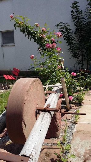 Terrein van de accommodatie