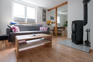 Televisión, chimenea y libros 