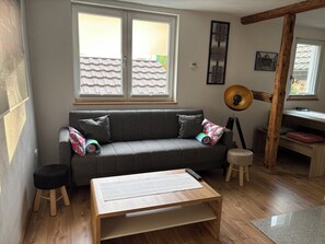 Tv, eldstad och böcker