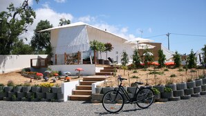 Ein modernes Gebäude mit weißer Fassade, einer Treppe, die zu einem überdachten Eingang führt, und einem Fahrrad davor.