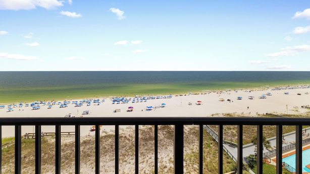 A beach with umbrellas and beach chairs, a clear sky, and a view of the ocean. - Phoenix V 802 by Liquid Life (Orange Beach)