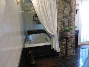 Bathtub, hair dryer, bidet, towels
