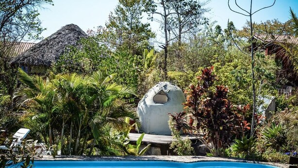 Una piscina rodeada de exuberante vegetación y una estructura esférica singular.