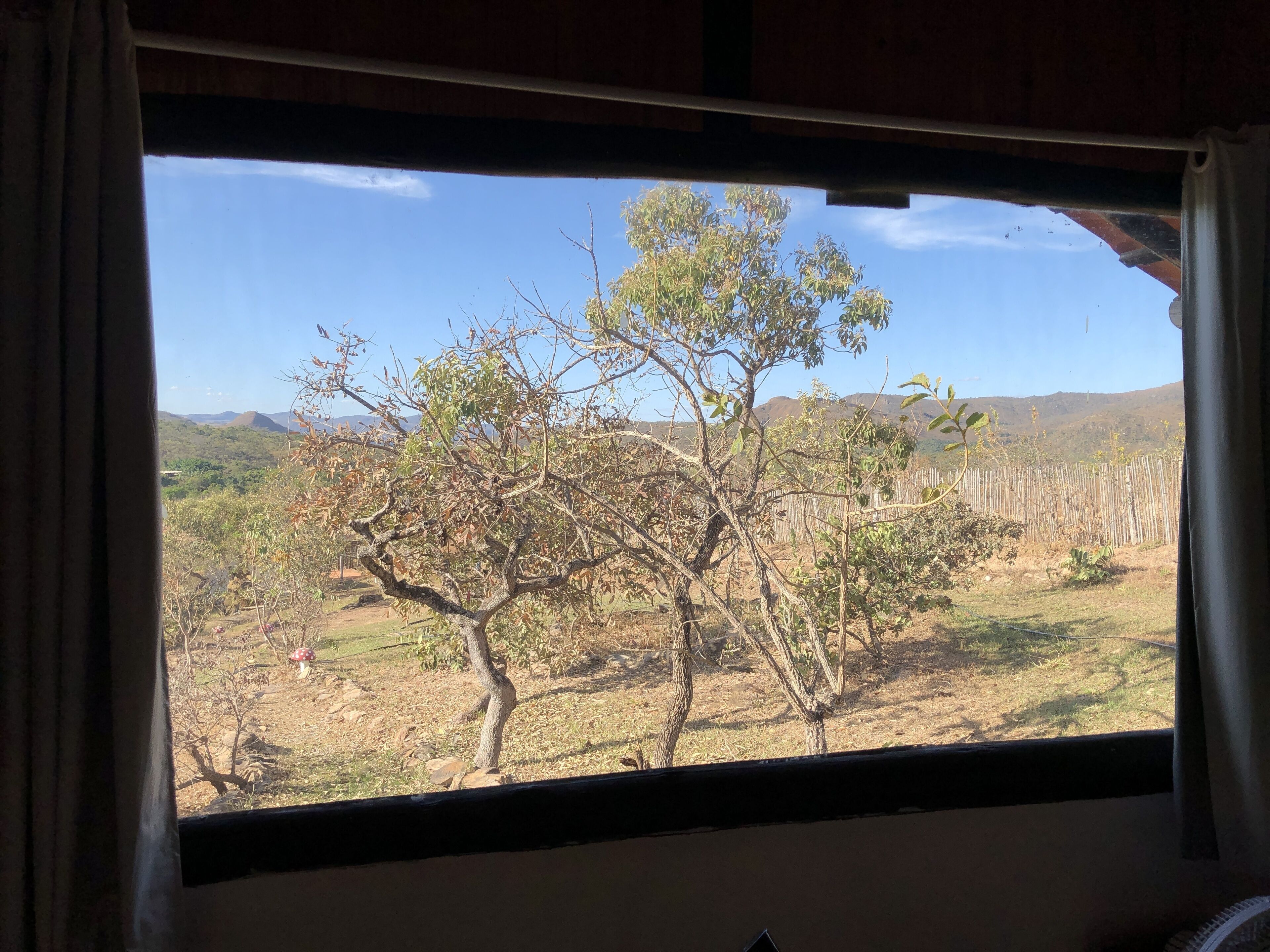 Dormitorio compartido | Vista desde la habitación