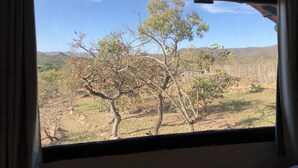 Vista por la ventana de un paisaje con árboles y colinas.