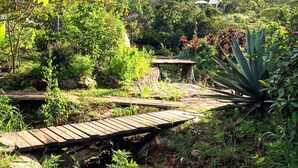 Un jardín con un molino, senderos de madera y diversas plantas.