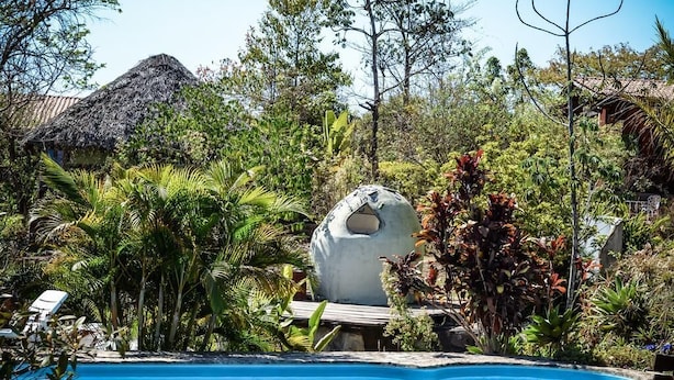 Una piscina circondata da vegetazione lussureggiante e una struttura sferica particolare.