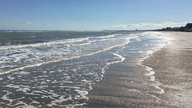 A beach with waves gently lapping onto the shore, a clear sky, and distant buildings. - Hotel Dea della Salute (Bellaria-Igea Marina)