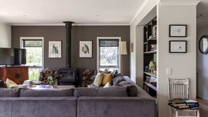 Smart TV, fireplace, books