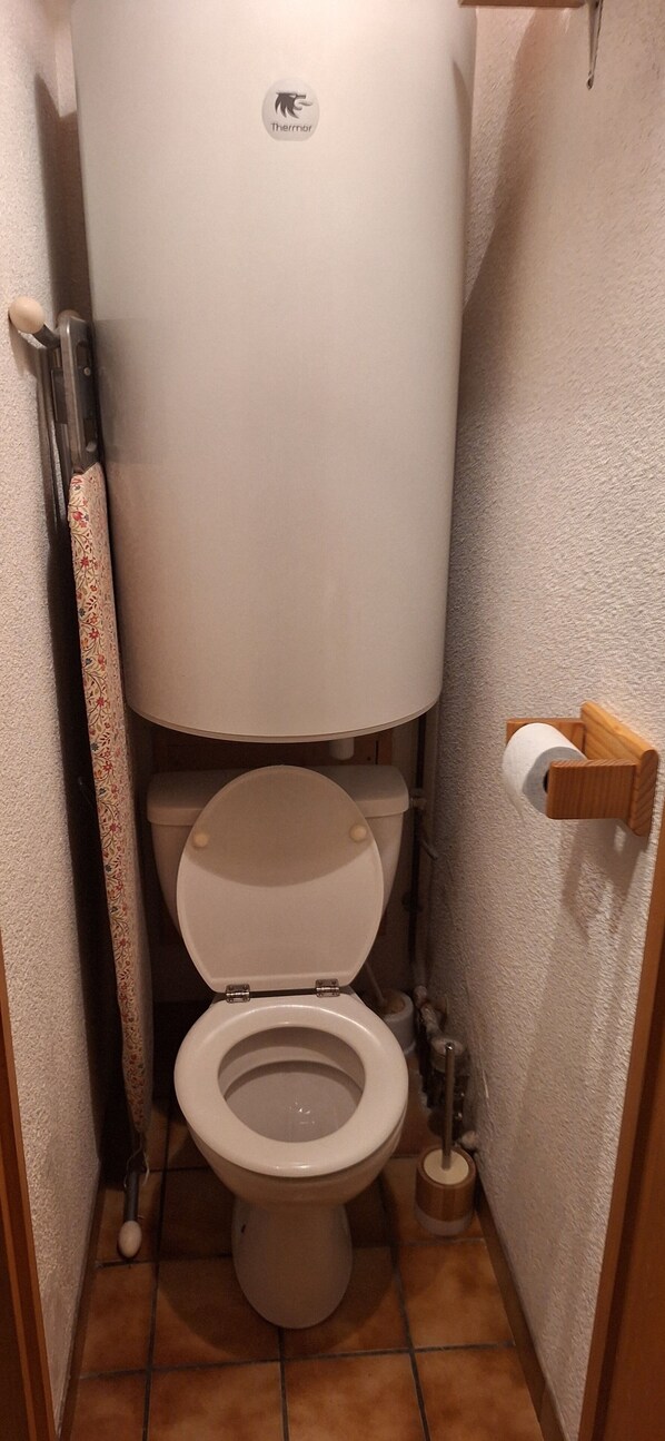 A small bathroom with a toilet, a toilet brush, a toilet paper holder, and a toilet paper roll.