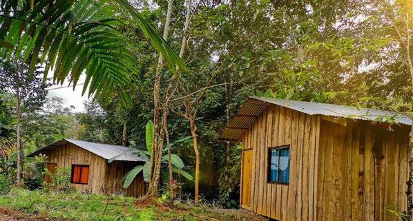 Property grounds - Citronela Lodge Corcovado (Drake Bay)