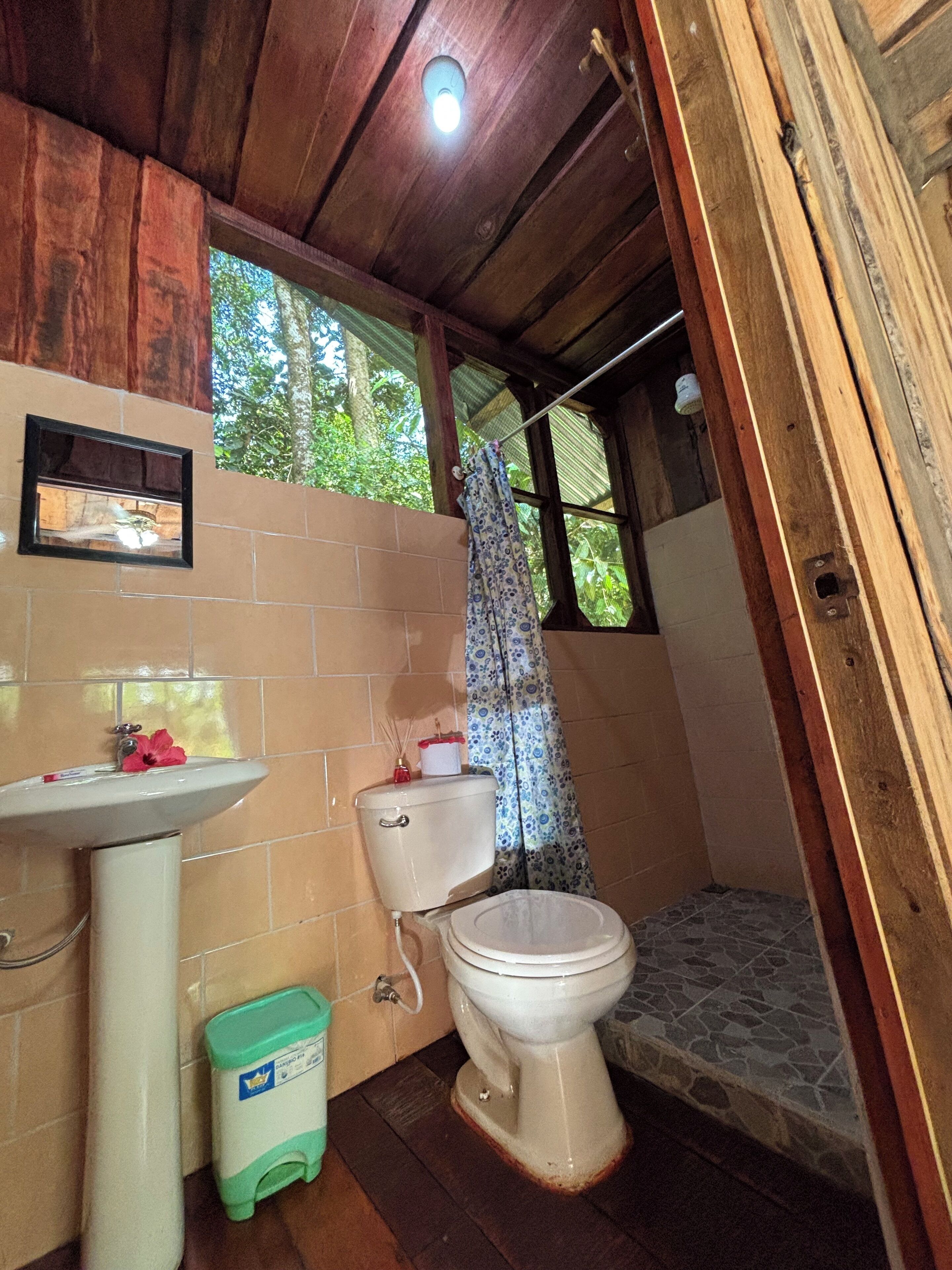 Baño con techo de madera, inodoro, lavabo y zona de ducha.