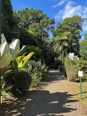 Front of property - Citronela Lodge Corcovado (Drake Bay)