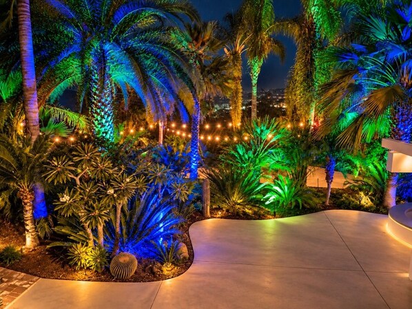 A landscaped outdoor area with palm trees and a paved walkway.