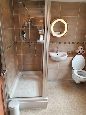 A modern bathroom with a glass-enclosed shower, a sink, and a toilet.