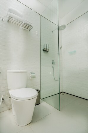Ducha, secador de pelo, bidé y toallas