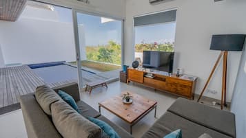 TV, books, stereo