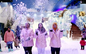 Sneeuw- en skisporten