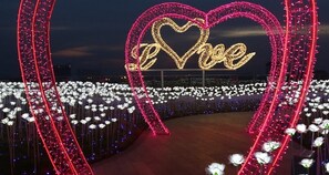 星評価なしの画像、3 / 14、ボタン