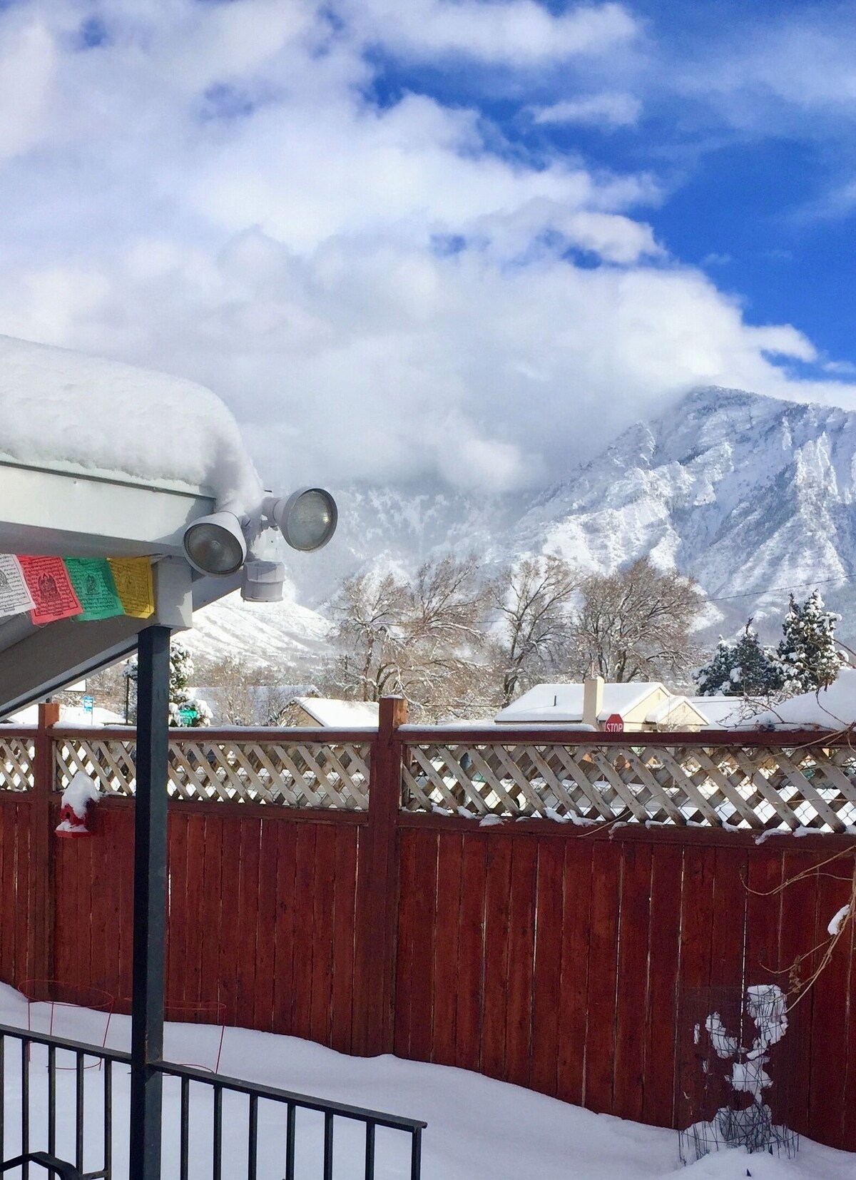 Imagen de perfil del propietario o de la propietaria