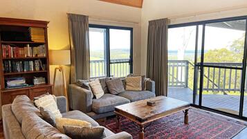 Smart TV, fireplace, DVD player, books