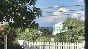 Un área cercada con una cerca de piquetes blancos, un edificio con techo verde y follaje denso al fondo.