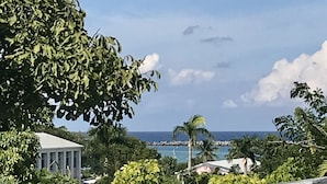 Vista de una zona costera con un edificio, palmeras y el océano.