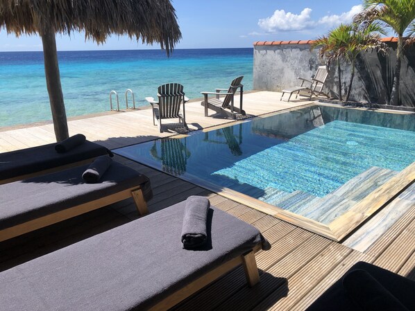 An infinity pool - INCLUSIV Pickup Truck! Design Beachhouse - Ocean access/own reef, fiber internet (Kralendijk)